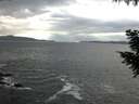 ./images/koeye/fitz-hugh/20200925/fitz-hugh20200925_181501.jpg