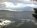 ./images/koeye/fitz-hugh/20200925/fitz-hugh20200925_184502.jpg