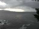 ./images/koeye/fitz-hugh/20200925/fitz-hugh20200925_195002.jpg