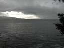 ./images/koeye/fitz-hugh/20200925/fitz-hugh20200925_195501.jpg