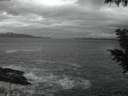 ./images/koeye/fitz-hugh/20200926/fitz-hugh20200926_065001.jpg