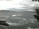 ./images/koeye/fitz-hugh/20200926/fitz-hugh20200926_065501.jpg