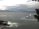 ./images/koeye/fitz-hugh/20200926/fitz-hugh20200926_070501.jpg