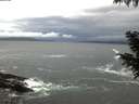 ./images/koeye/fitz-hugh/20200926/fitz-hugh20200926_071001.jpg