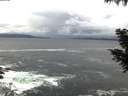 ./images/koeye/fitz-hugh/20200926/fitz-hugh20200926_073501.jpg
