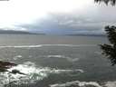 ./images/koeye/fitz-hugh/20200926/fitz-hugh20200926_074501.jpg