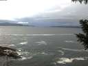 ./images/koeye/fitz-hugh/20200926/fitz-hugh20200926_075001.jpg