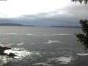 ./images/koeye/fitz-hugh/20200926/fitz-hugh20200926_075501.jpg