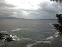 ./images/koeye/fitz-hugh/20200926/fitz-hugh20200926_081001.jpg