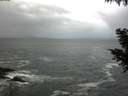 ./images/koeye/fitz-hugh/20200926/fitz-hugh20200926_081501.jpg