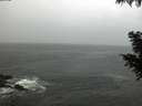 ./images/koeye/fitz-hugh/20200926/fitz-hugh20200926_082501.jpg