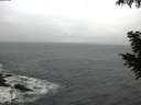 ./images/koeye/fitz-hugh/20200926/fitz-hugh20200926_083502.jpg