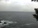./images/koeye/fitz-hugh/20200926/fitz-hugh20200926_084001.jpg
