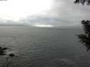 ./images/koeye/fitz-hugh/20200926/fitz-hugh20200926_090502.jpg