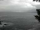 ./images/koeye/fitz-hugh/20200926/fitz-hugh20200926_093502.jpg