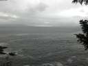./images/koeye/fitz-hugh/20200926/fitz-hugh20200926_094002.jpg