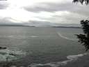 ./images/koeye/fitz-hugh/20200926/fitz-hugh20200926_103501.jpg