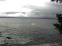 ./images/koeye/fitz-hugh/20200926/fitz-hugh20200926_104501.jpg