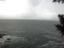 ./images/koeye/fitz-hugh/20200926/fitz-hugh20200926_114502.jpg