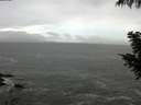 ./images/koeye/fitz-hugh/20200926/fitz-hugh20200926_115502.jpg