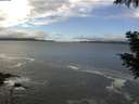 ./images/koeye/fitz-hugh/20200926/fitz-hugh20200926_122502.jpg