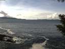 ./images/koeye/fitz-hugh/20200926/fitz-hugh20200926_134001.jpg