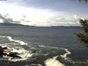 ./images/koeye/fitz-hugh/20200926/fitz-hugh20200926_134501.jpg