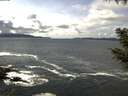 ./images/koeye/fitz-hugh/20200926/fitz-hugh20200926_135501.jpg