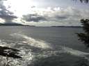 ./images/koeye/fitz-hugh/20200926/fitz-hugh20200926_142501.jpg