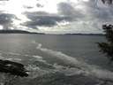 ./images/koeye/fitz-hugh/20200926/fitz-hugh20200926_143501.jpg