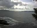 ./images/koeye/fitz-hugh/20200926/fitz-hugh20200926_145502.jpg