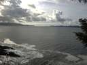 ./images/koeye/fitz-hugh/20200926/fitz-hugh20200926_150502.jpg