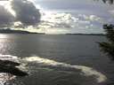 ./images/koeye/fitz-hugh/20200926/fitz-hugh20200926_152502.jpg