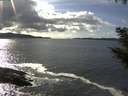 ./images/koeye/fitz-hugh/20200926/fitz-hugh20200926_153502.jpg