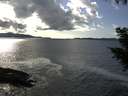 ./images/koeye/fitz-hugh/20200926/fitz-hugh20200926_155502.jpg