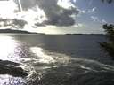 ./images/koeye/fitz-hugh/20200926/fitz-hugh20200926_160001.jpg