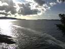 ./images/koeye/fitz-hugh/20200926/fitz-hugh20200926_161001.jpg