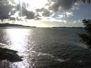 ./images/koeye/fitz-hugh/20200926/fitz-hugh20200926_163501.jpg