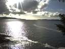 ./images/koeye/fitz-hugh/20200926/fitz-hugh20200926_164501.jpg