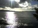 ./images/koeye/fitz-hugh/20200926/fitz-hugh20200926_165501.jpg