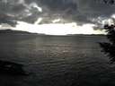 ./images/koeye/fitz-hugh/20200926/fitz-hugh20200926_174001.jpg