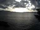 ./images/koeye/fitz-hugh/20200926/fitz-hugh20200926_175001.jpg