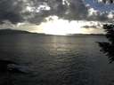 ./images/koeye/fitz-hugh/20200926/fitz-hugh20200926_180002.jpg