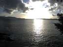 ./images/koeye/fitz-hugh/20200926/fitz-hugh20200926_181502.jpg
