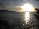 ./images/koeye/fitz-hugh/20200926/fitz-hugh20200926_184002.jpg
