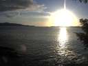 ./images/koeye/fitz-hugh/20200926/fitz-hugh20200926_184502.jpg