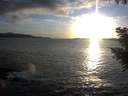 ./images/koeye/fitz-hugh/20200926/fitz-hugh20200926_185002.jpg