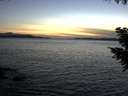 ./images/koeye/fitz-hugh/20200926/fitz-hugh20200926_195001.jpg