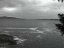 ./images/koeye/fitz-hugh/20200927/fitz-hugh20200927_065501.jpg