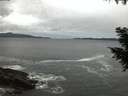 ./images/koeye/fitz-hugh/20200927/fitz-hugh20200927_070501.jpg